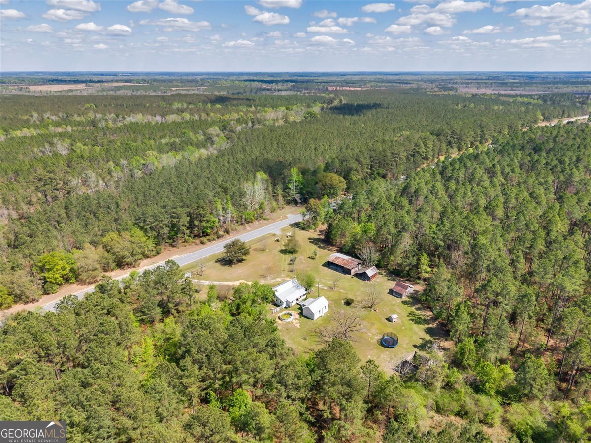 3613 S Highway 19 Dublin - Photo 49