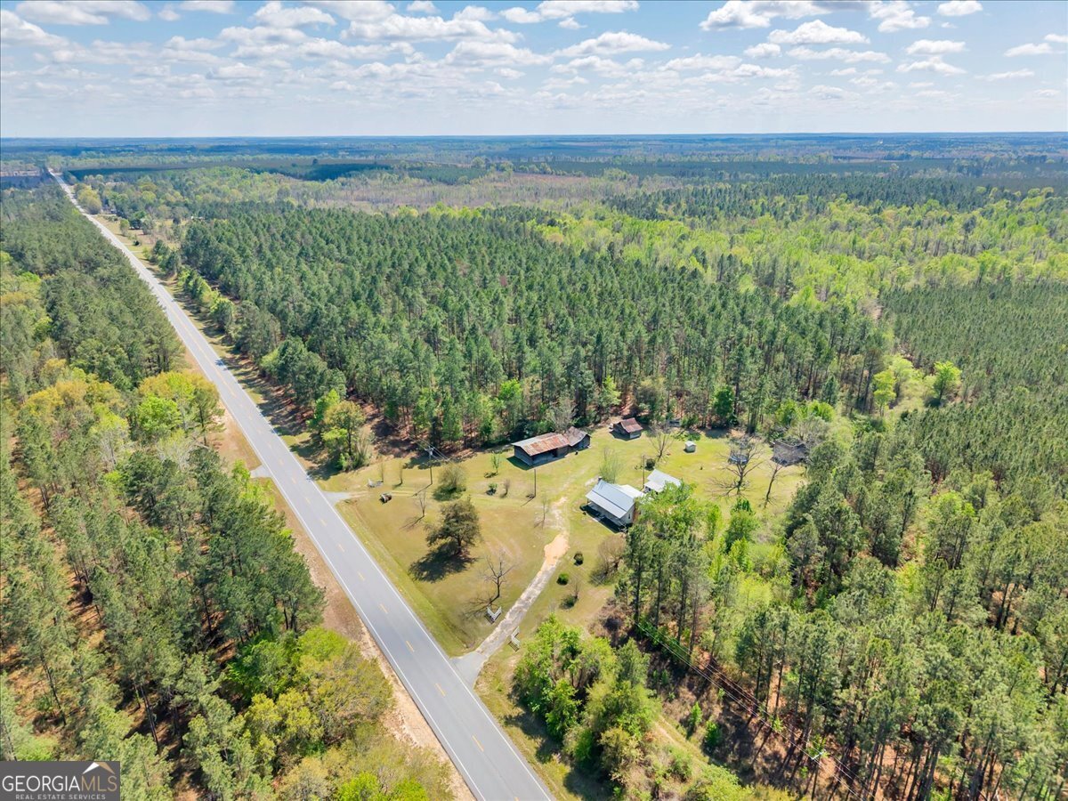 3613 S Highway 19 Dublin - Photo 51