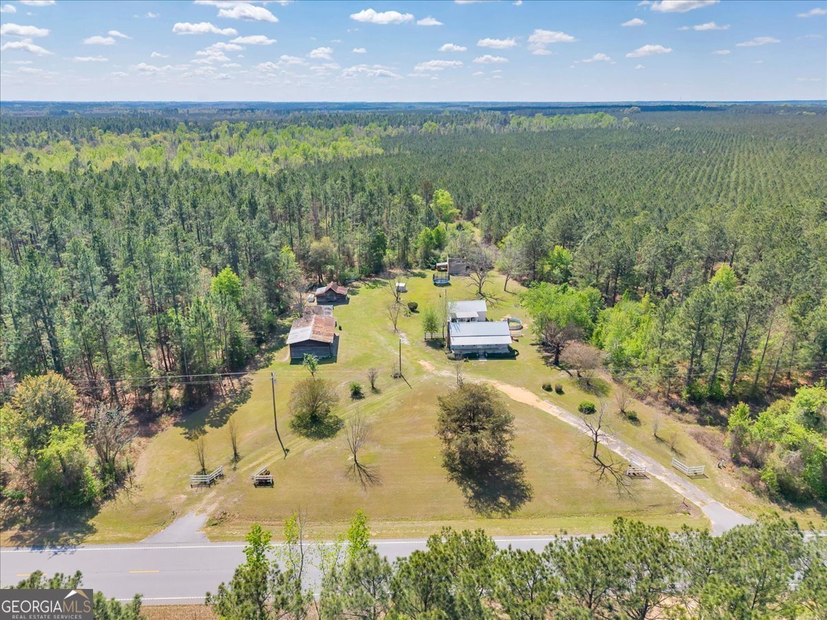 3613 S Highway 19 Dublin - Photo 52