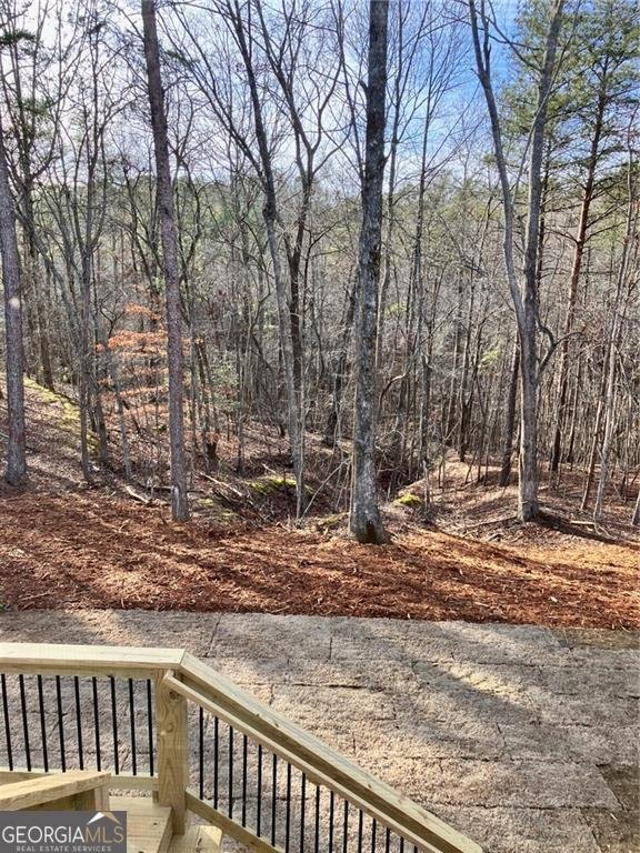 5123 Yellow Creek Road Ball Ground - Photo 27