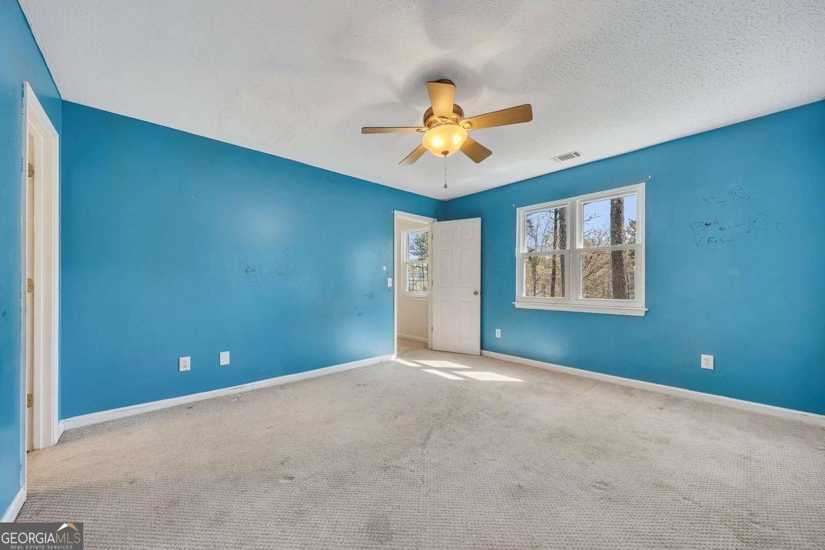 317 Horizon Drive Canton - Photo 23