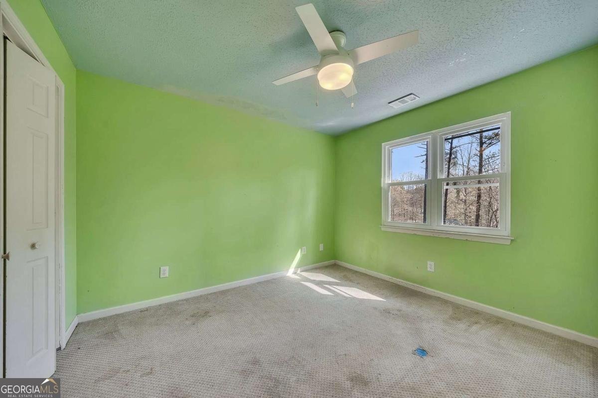 317 Horizon Drive Canton - Photo 27