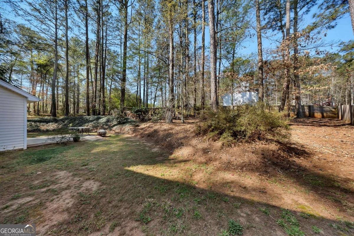 317 Horizon Drive Canton - Photo 31