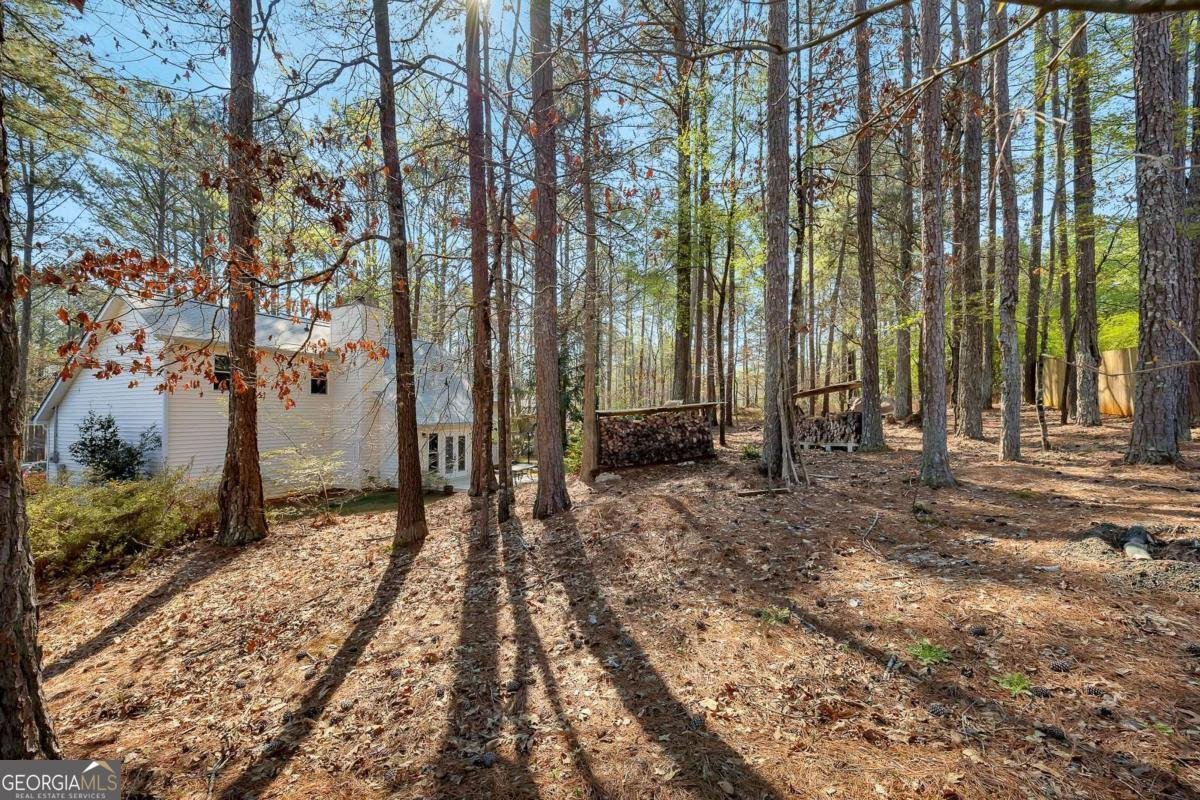 317 Horizon Drive Canton - Photo 32