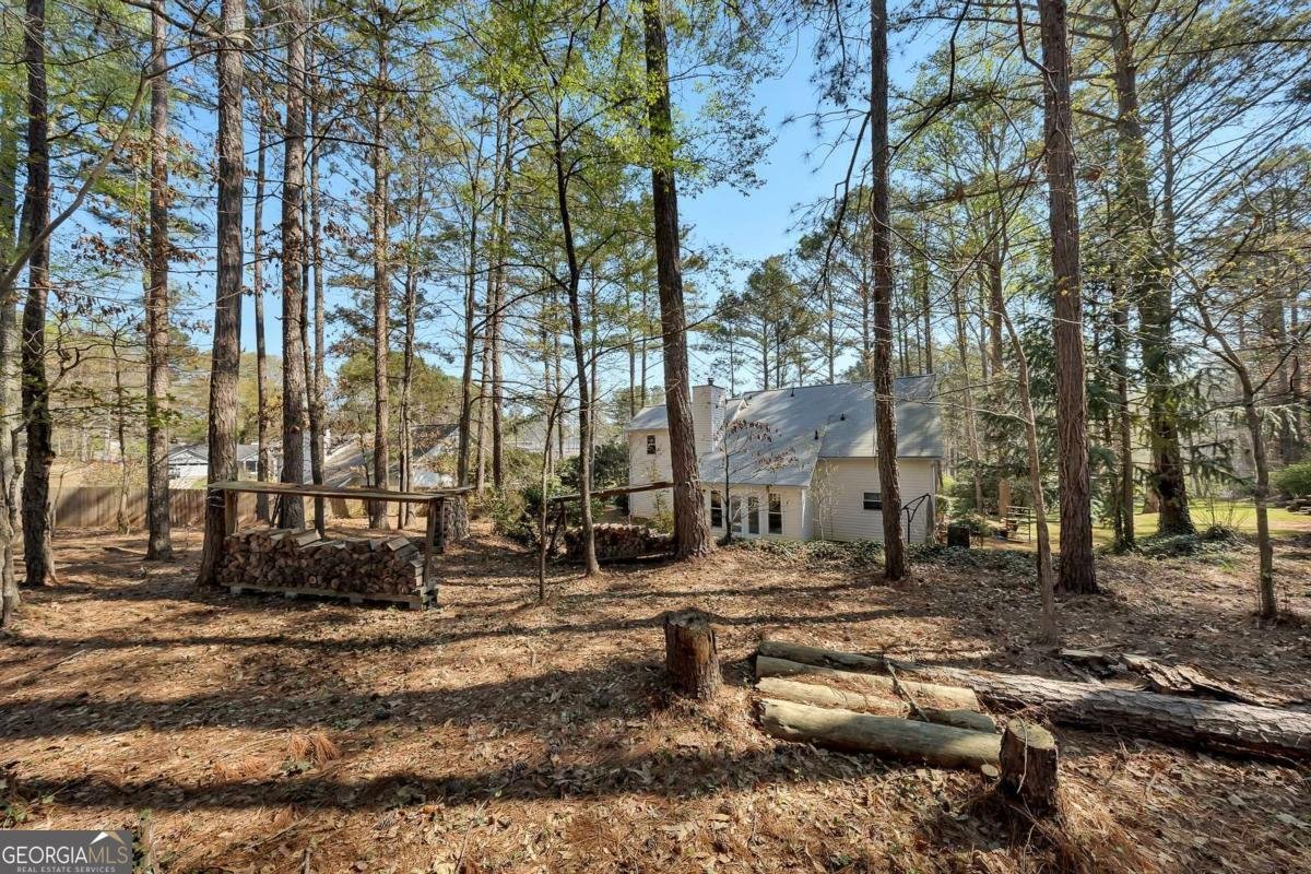 317 Horizon Drive Canton - Photo 33