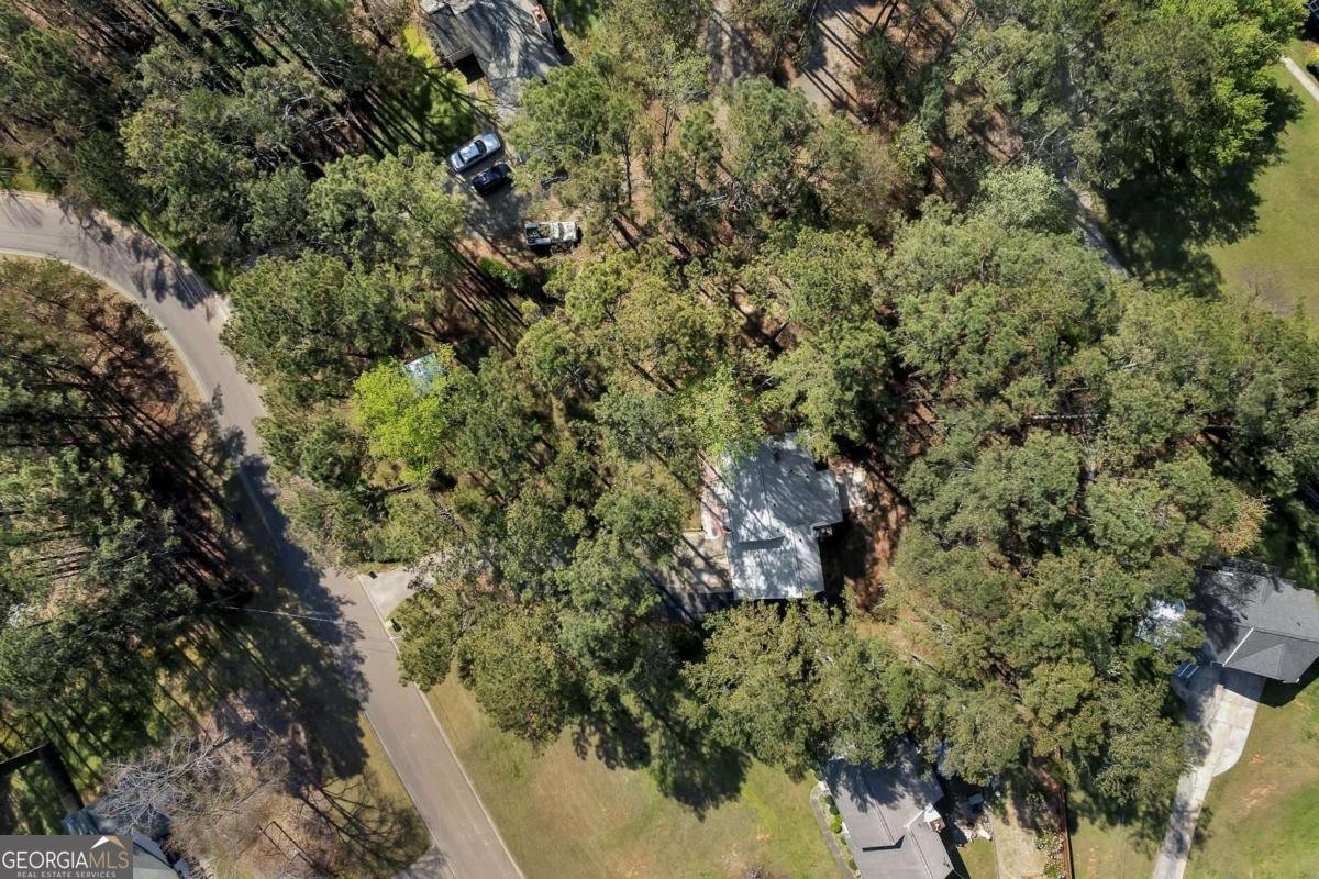 317 Horizon Drive Canton - Photo 37