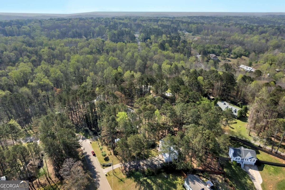 317 Horizon Drive Canton - Photo 38