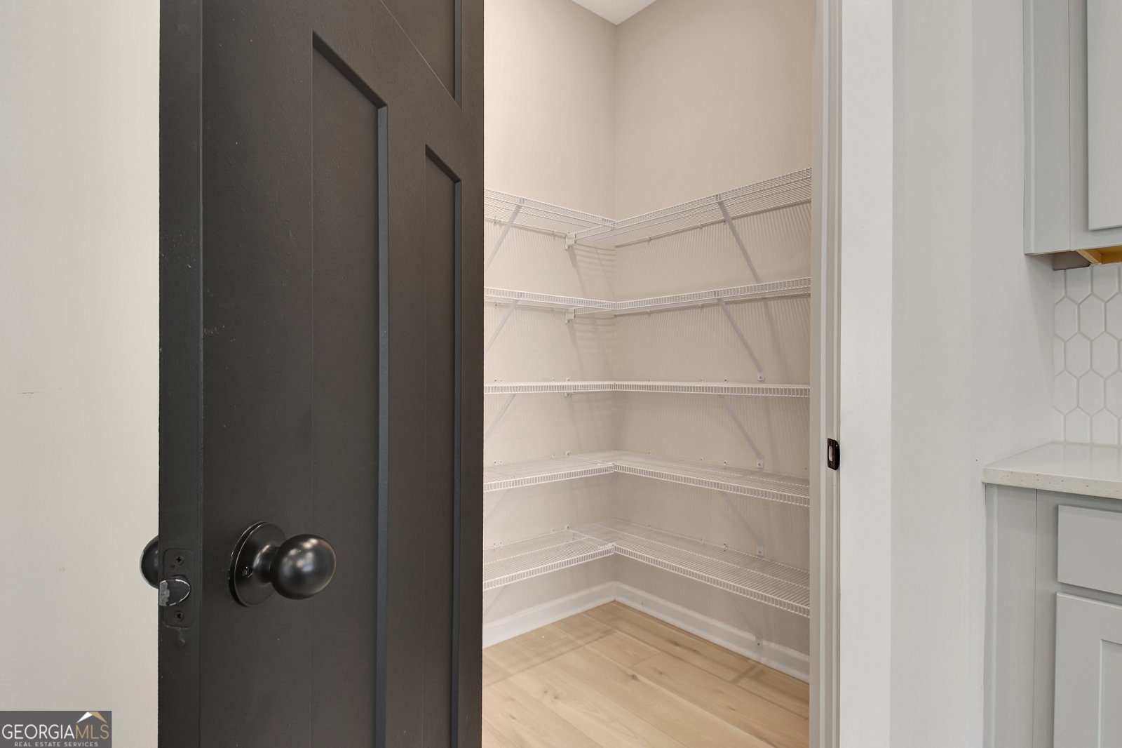 24 Deer Creek Court Moreland - Photo 41