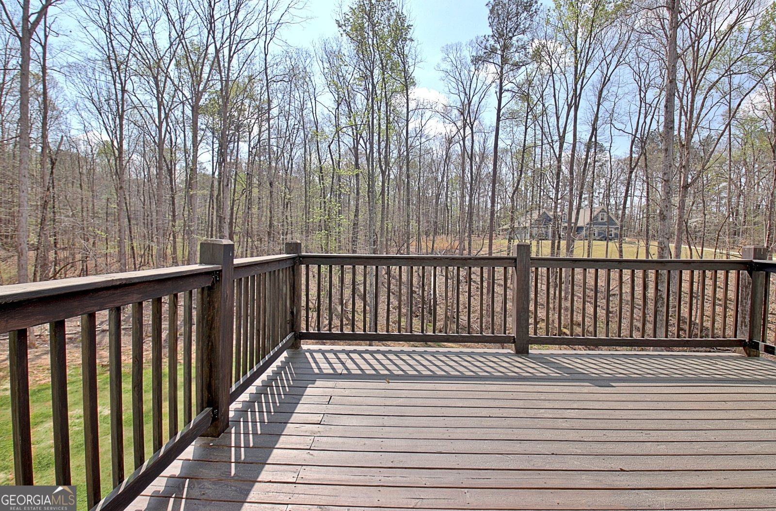 24 Deer Creek Court Moreland - Photo 45