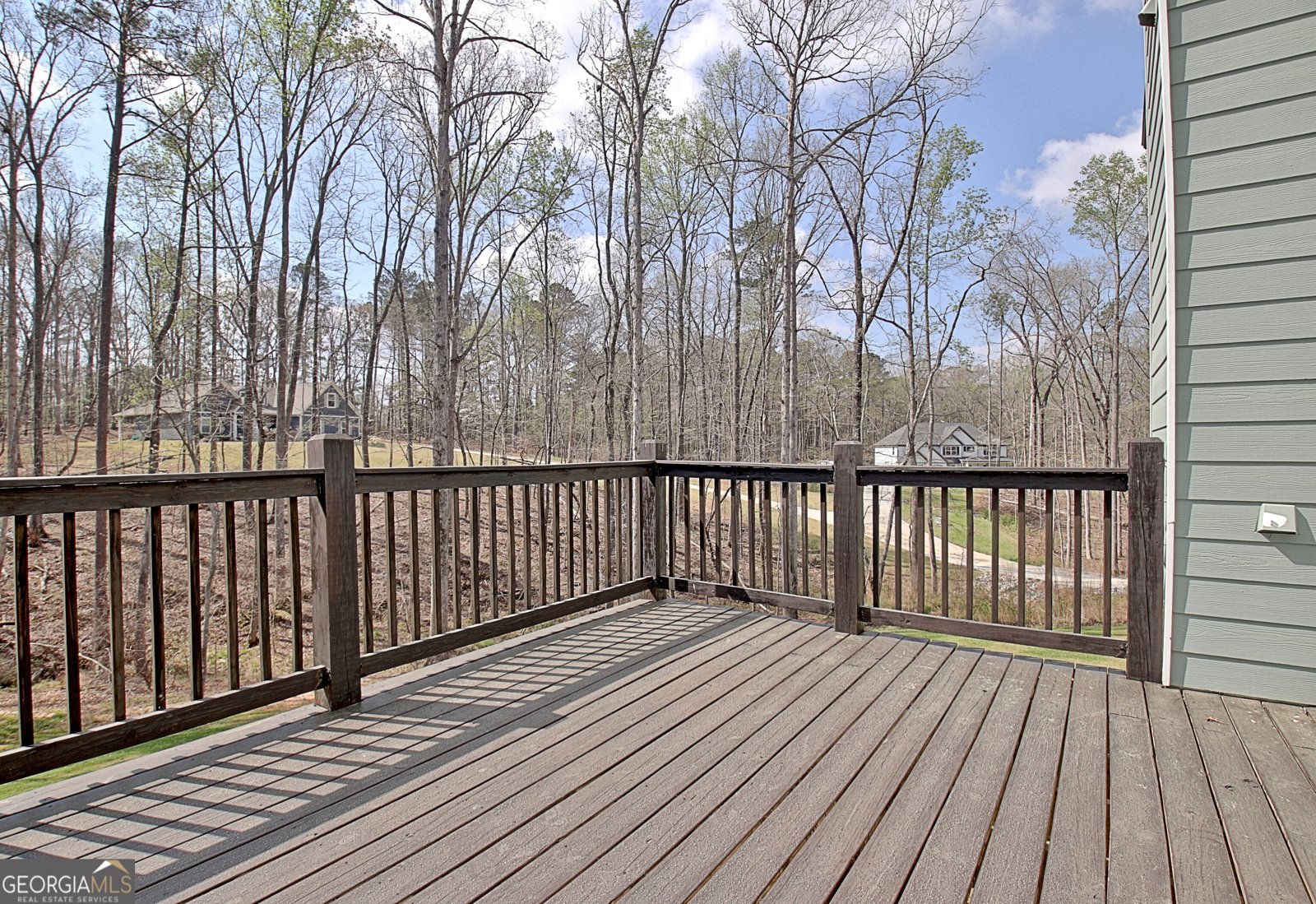 24 Deer Creek Court Moreland - Photo 46