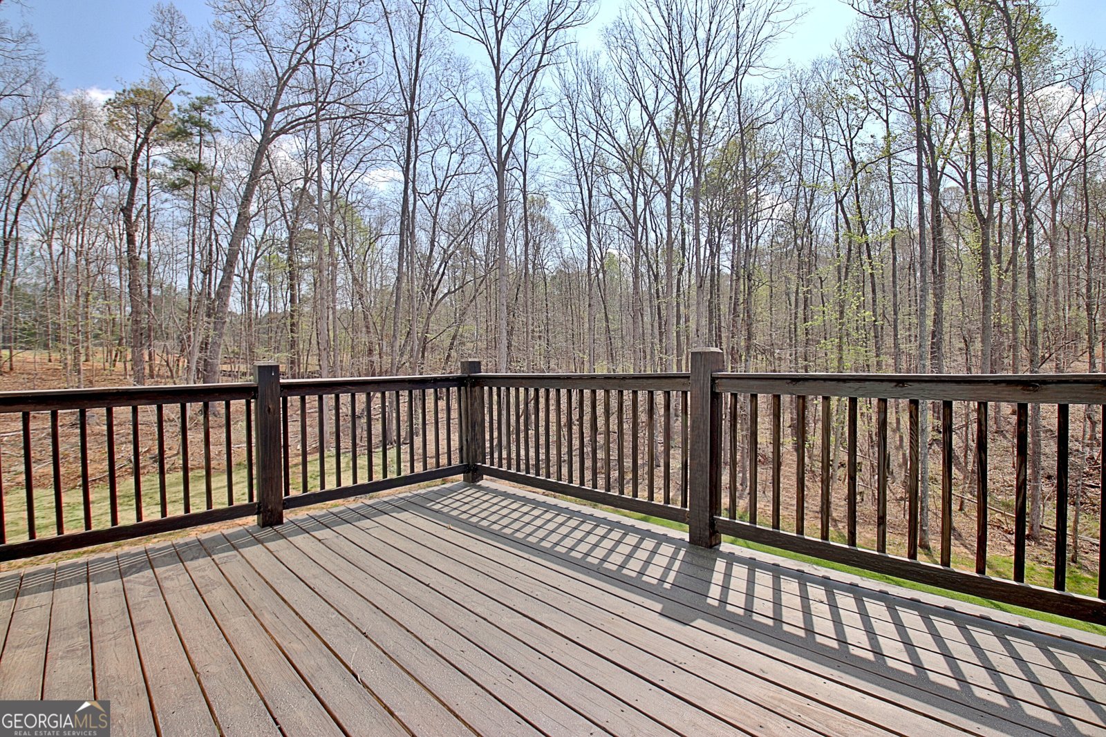 24 Deer Creek Court Moreland - Photo 47