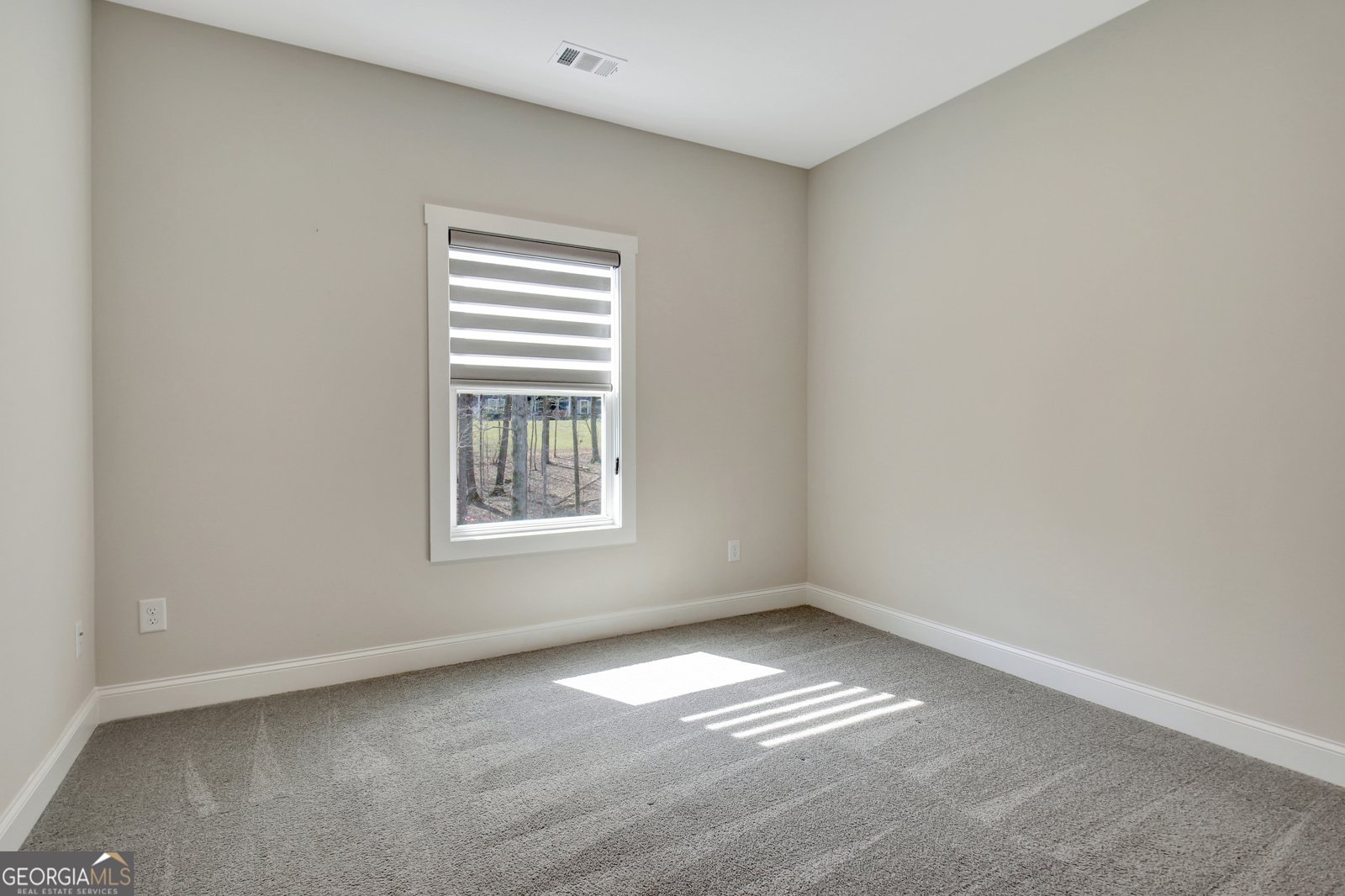 24 Deer Creek Court Moreland - Photo 50