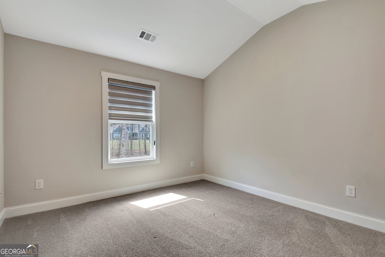 24 Deer Creek Court Moreland - Photo 76