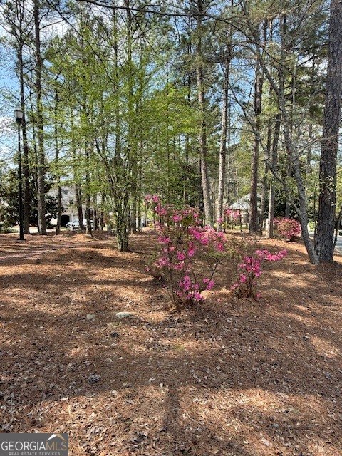 116 Crown Court Peachtree City - Photo 40