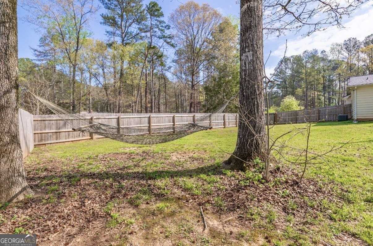 205 Wagon Wheel Trail Senoia - Photo 27