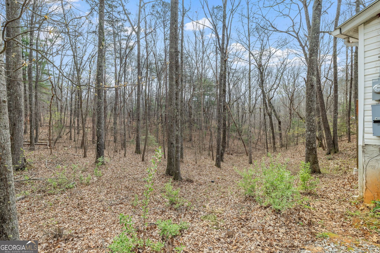 65 Tobacco Pouch Creek Road Dahlonega - Photo 23