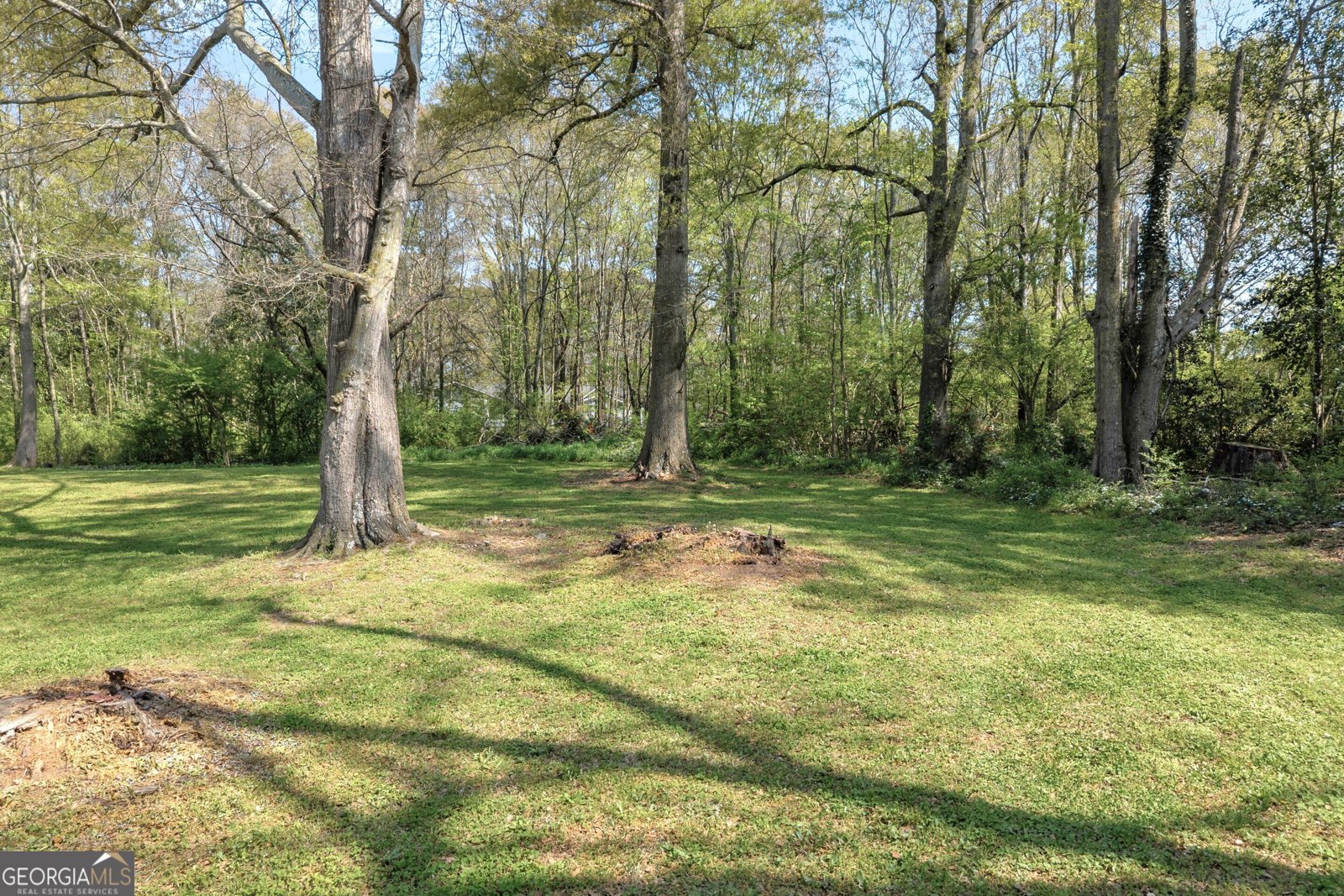 100 S Broad Street Bowman - Photo 58