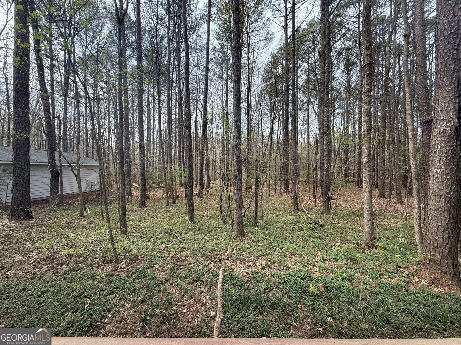 185 Melanie Lane Fayetteville - Photo 48