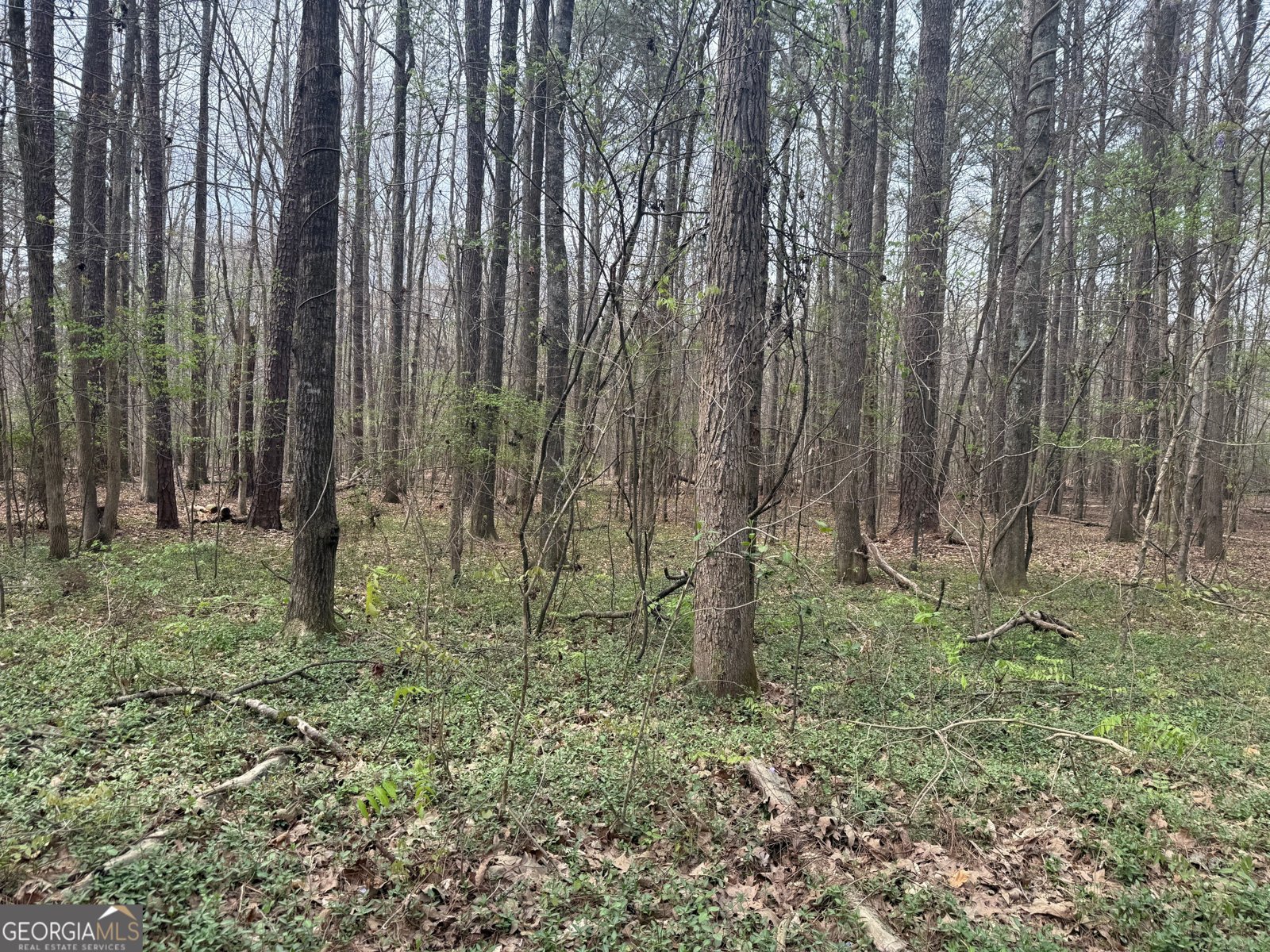 185 Melanie Lane Fayetteville - Photo 55