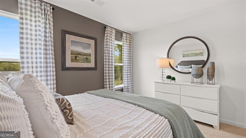 135 Sapelo Drive Senoia - Photo 18