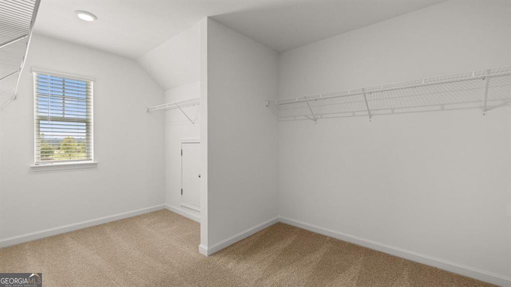 135 Sapelo Drive Senoia - Photo 23