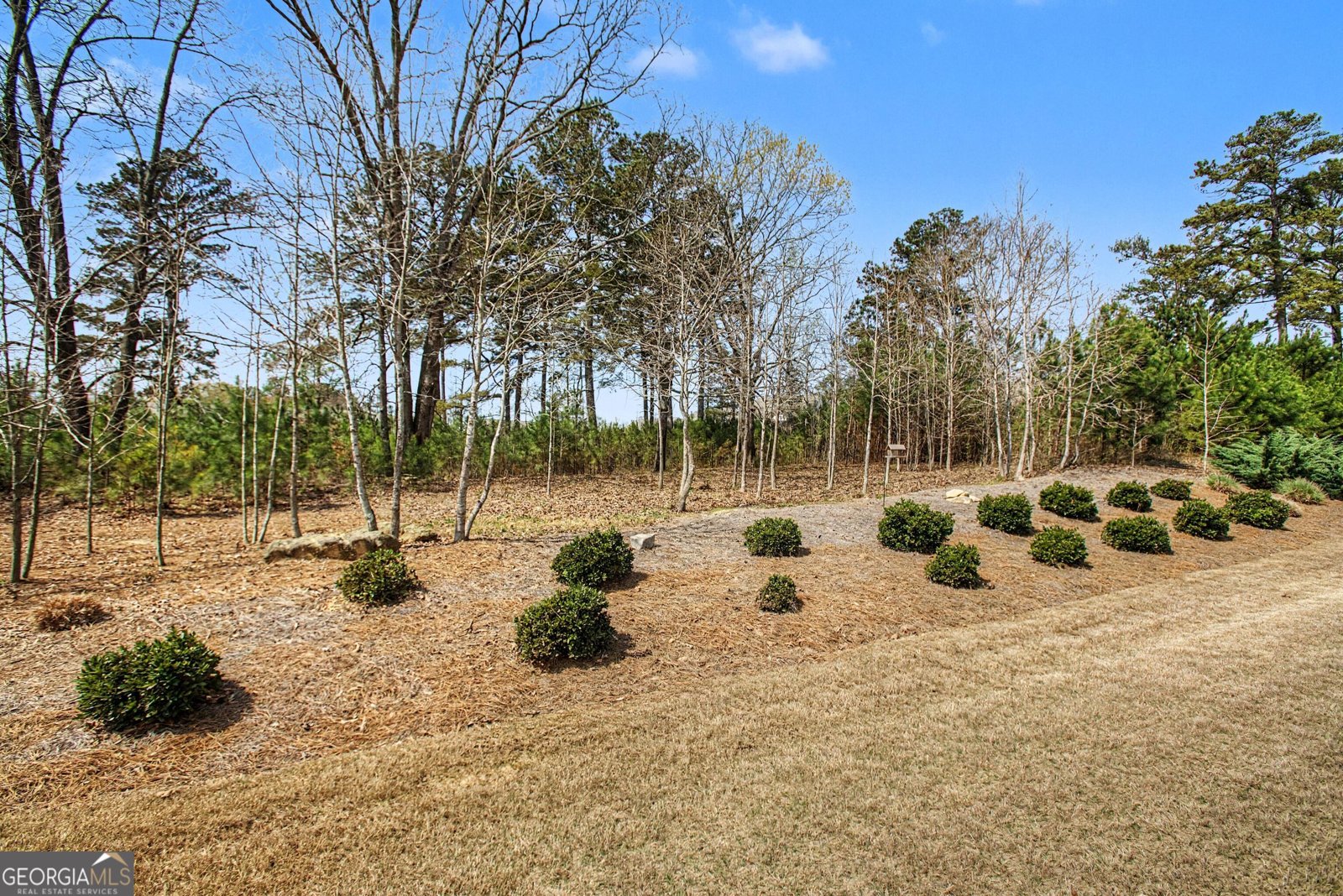 286 Chatuge Drive Hoschton - Photo 43