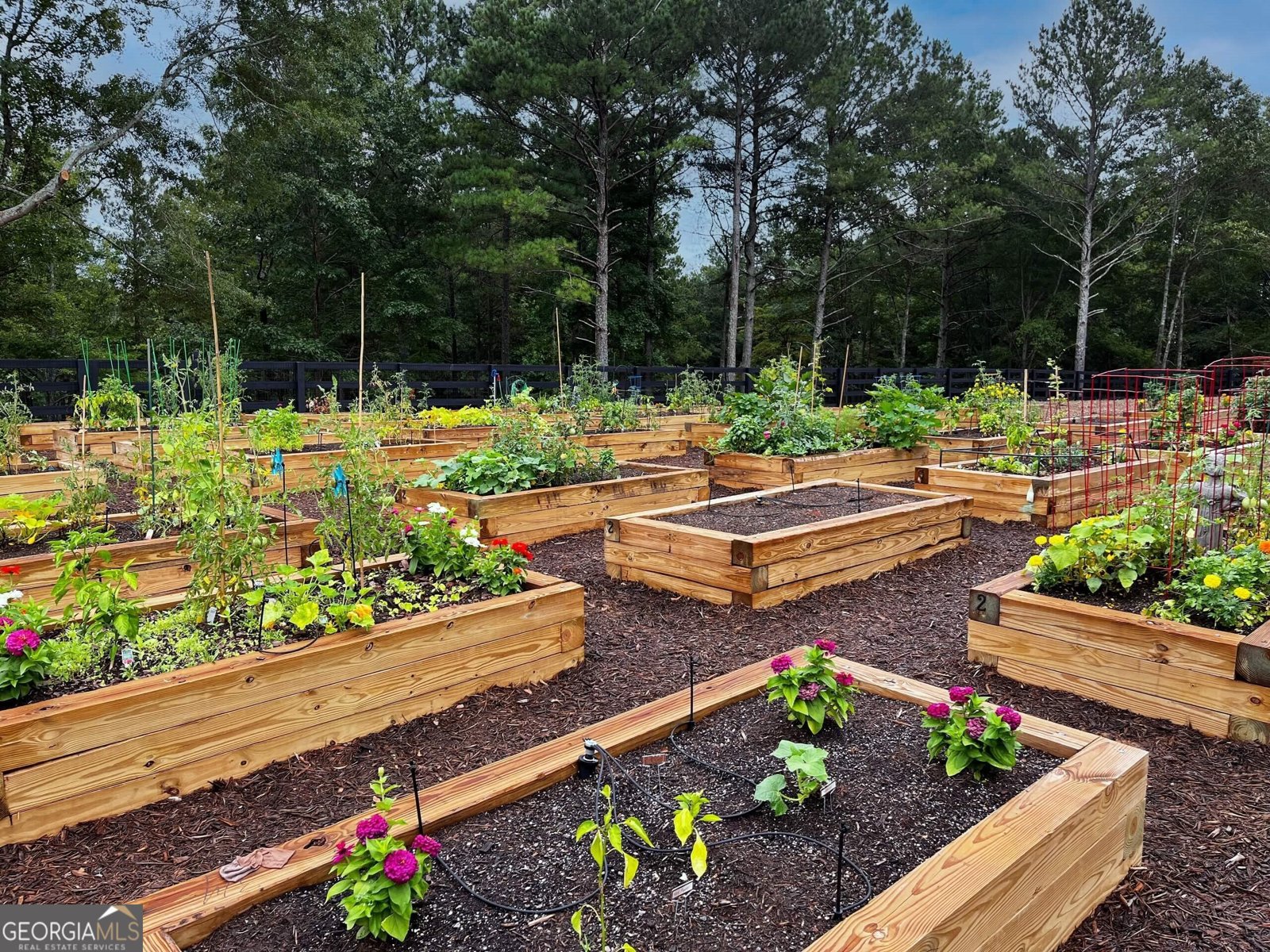 286 Chatuge Drive Hoschton - Photo 48