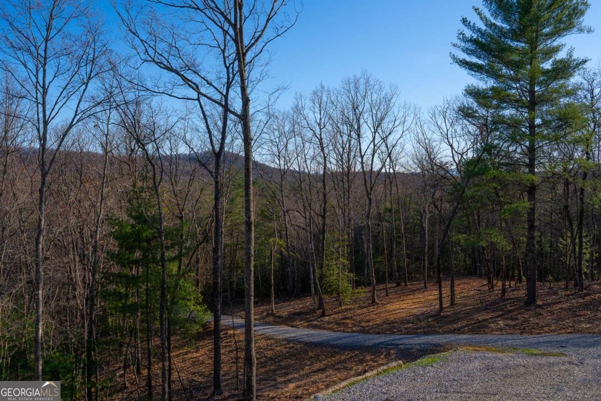 802 Mull Valley Road Morganton - Photo 58