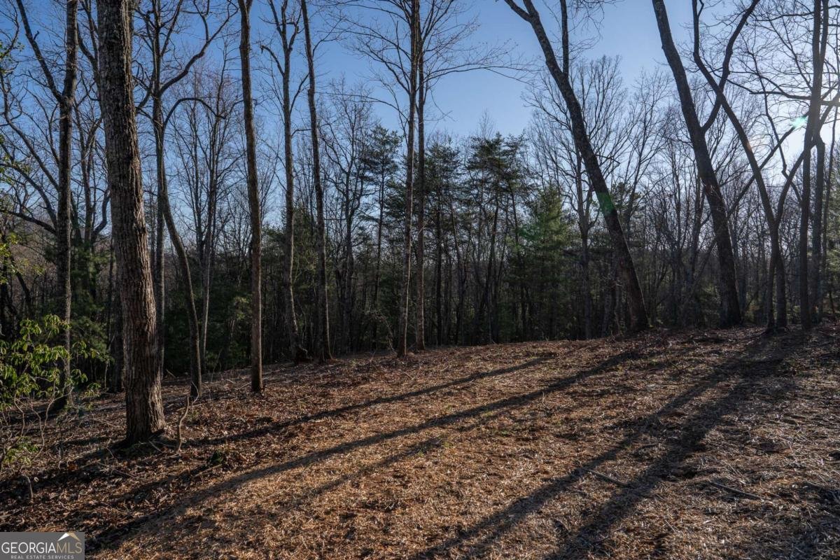 802 Mull Valley Road Morganton - Photo 64