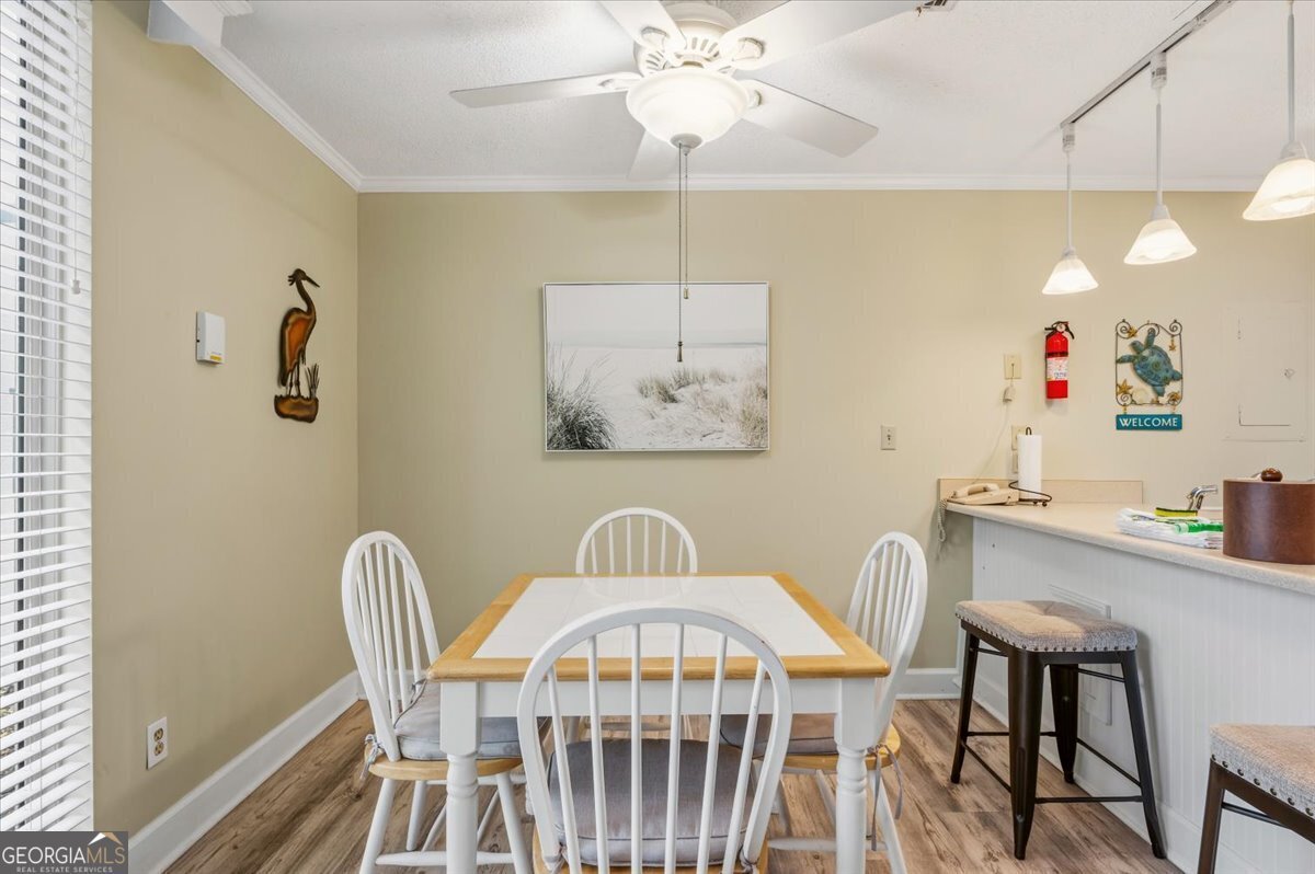 1175 N Beachview Drive Jekyll Island - Photo 10