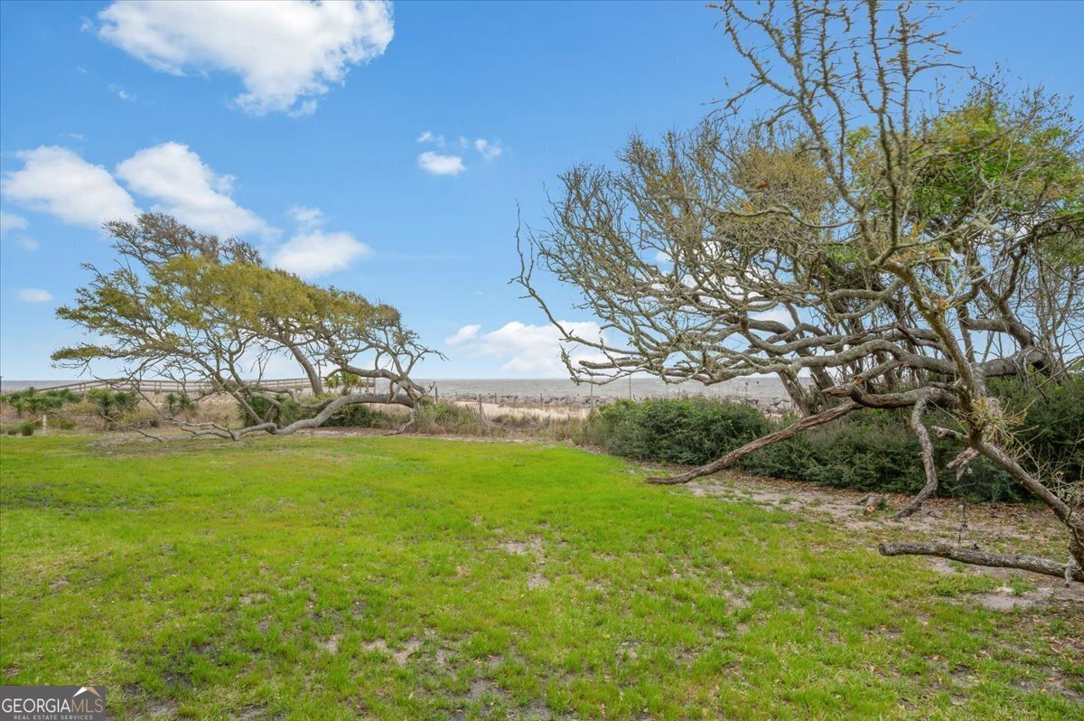 1175 N Beachview Drive Jekyll Island - Photo 31