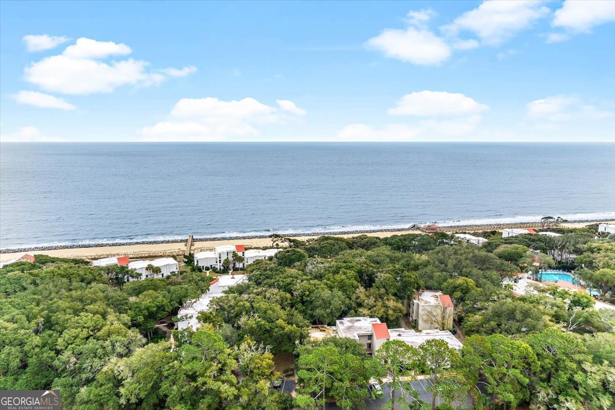 1175 N Beachview Drive Jekyll Island - Photo 43