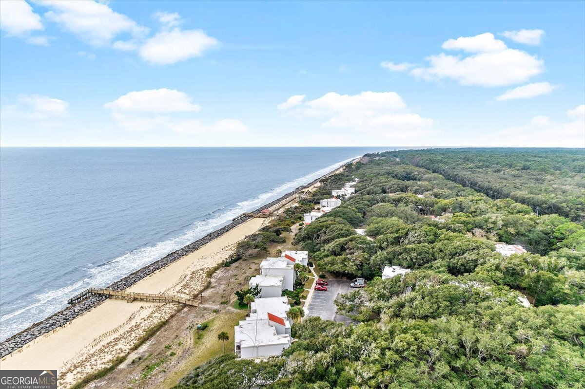 1175 N Beachview Drive Jekyll Island - Photo 44