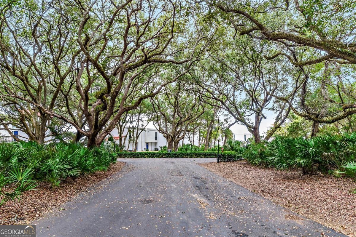 1175 N Beachview Drive Jekyll Island - Photo 47
