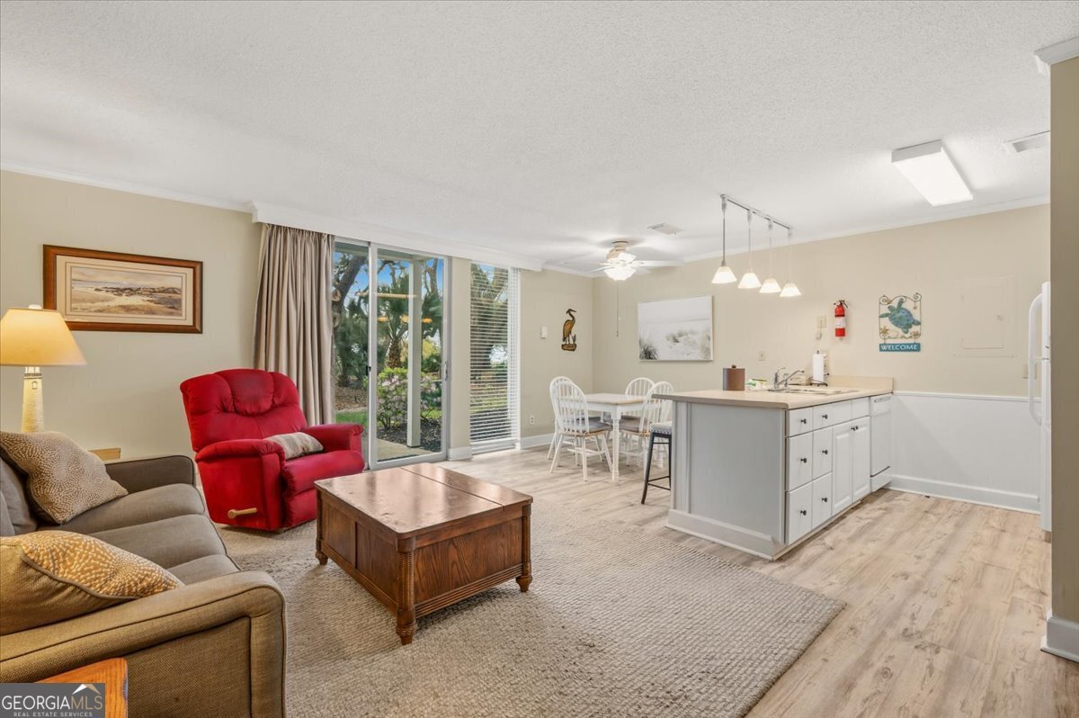 1175 N Beachview Drive Jekyll Island - Photo 7