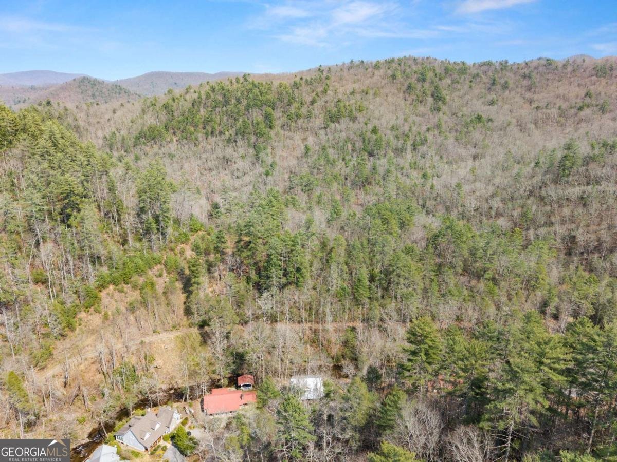 7880 Hiawassee Wilderness Trail Hiawassee - Photo 70