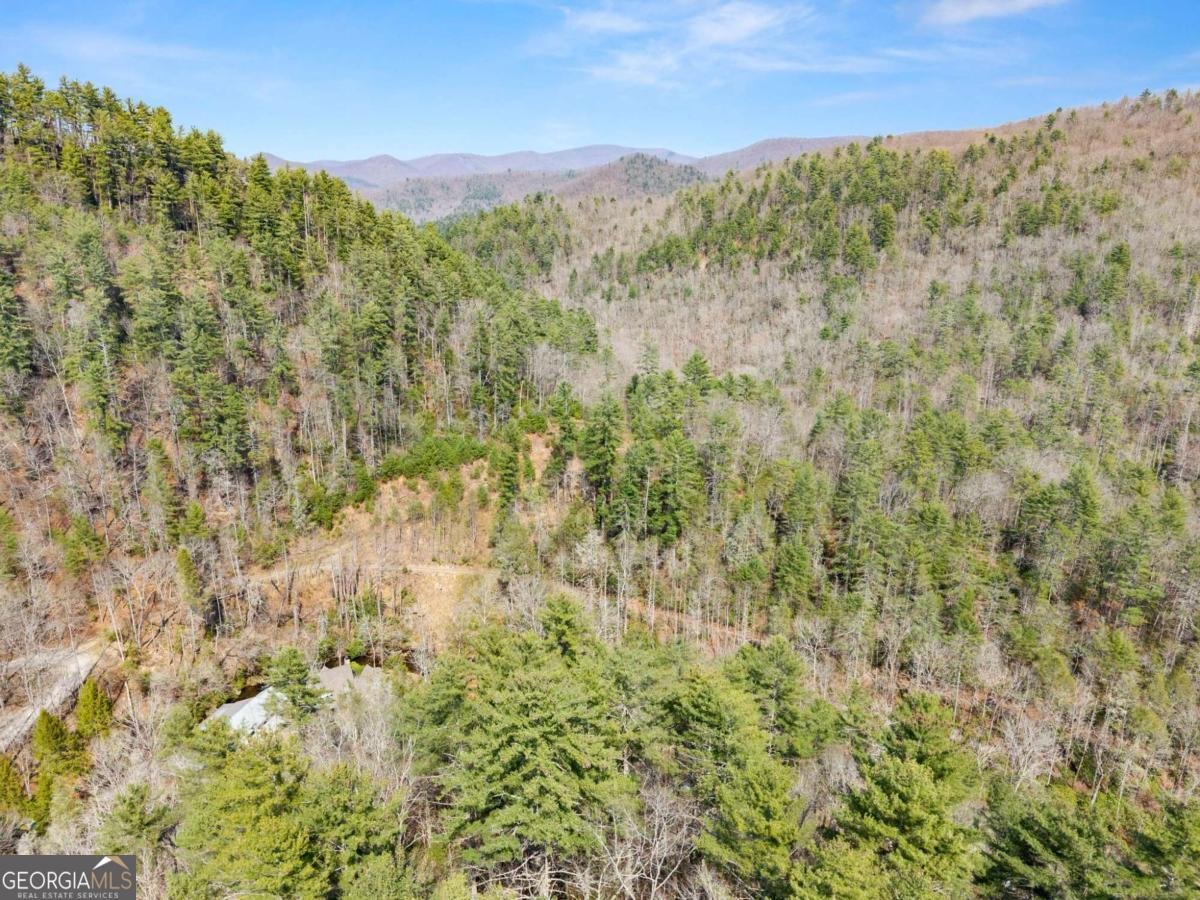 7880 Hiawassee Wilderness Trail Hiawassee - Photo 72