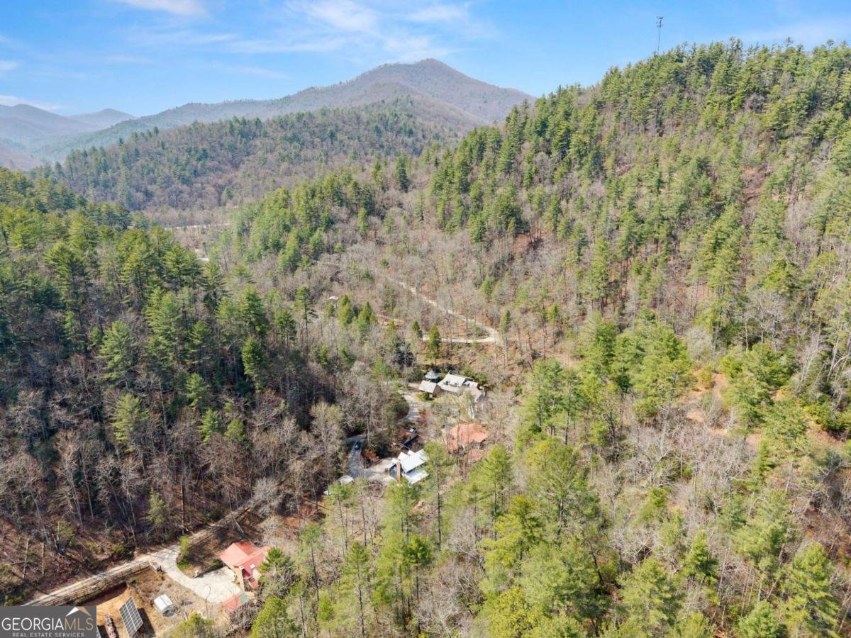 7880 Hiawassee Wilderness Trail Hiawassee - Photo 73