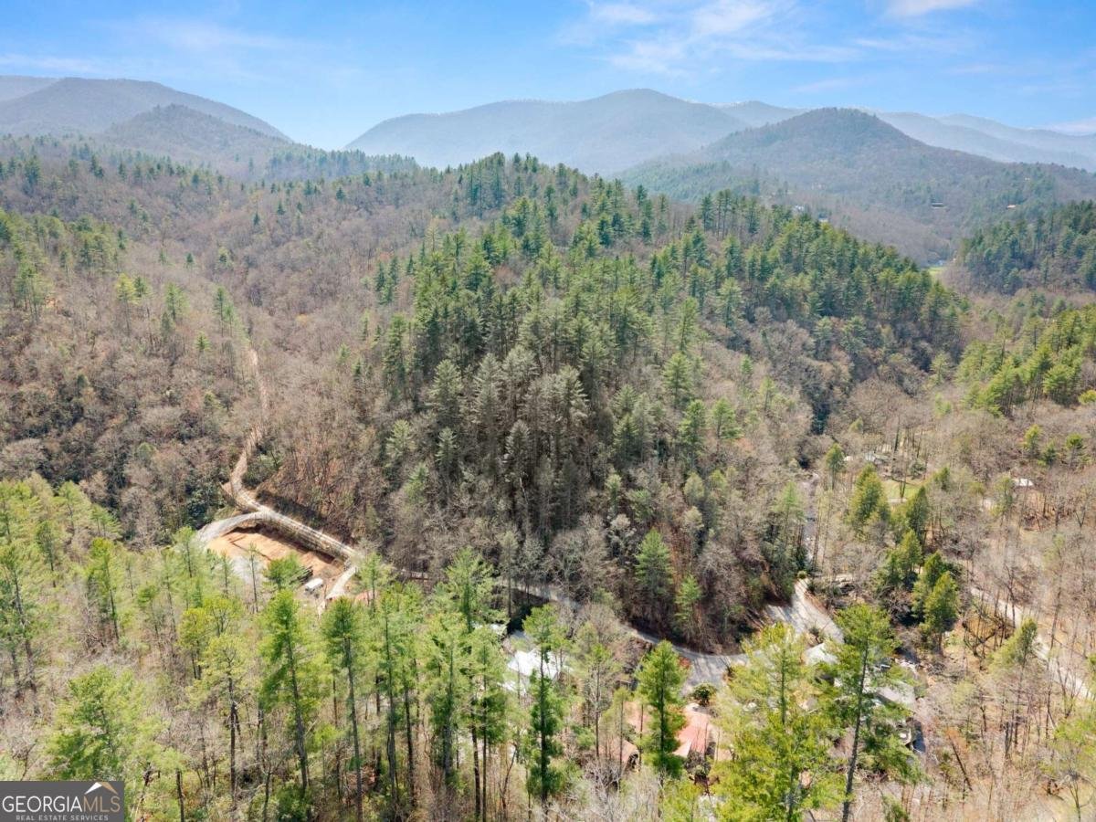 7880 Hiawassee Wilderness Trail Hiawassee - Photo 75