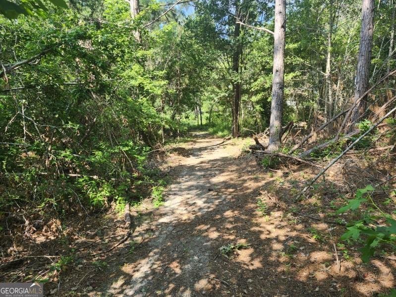 184 Eagle Pass Swainsboro - Photo 77