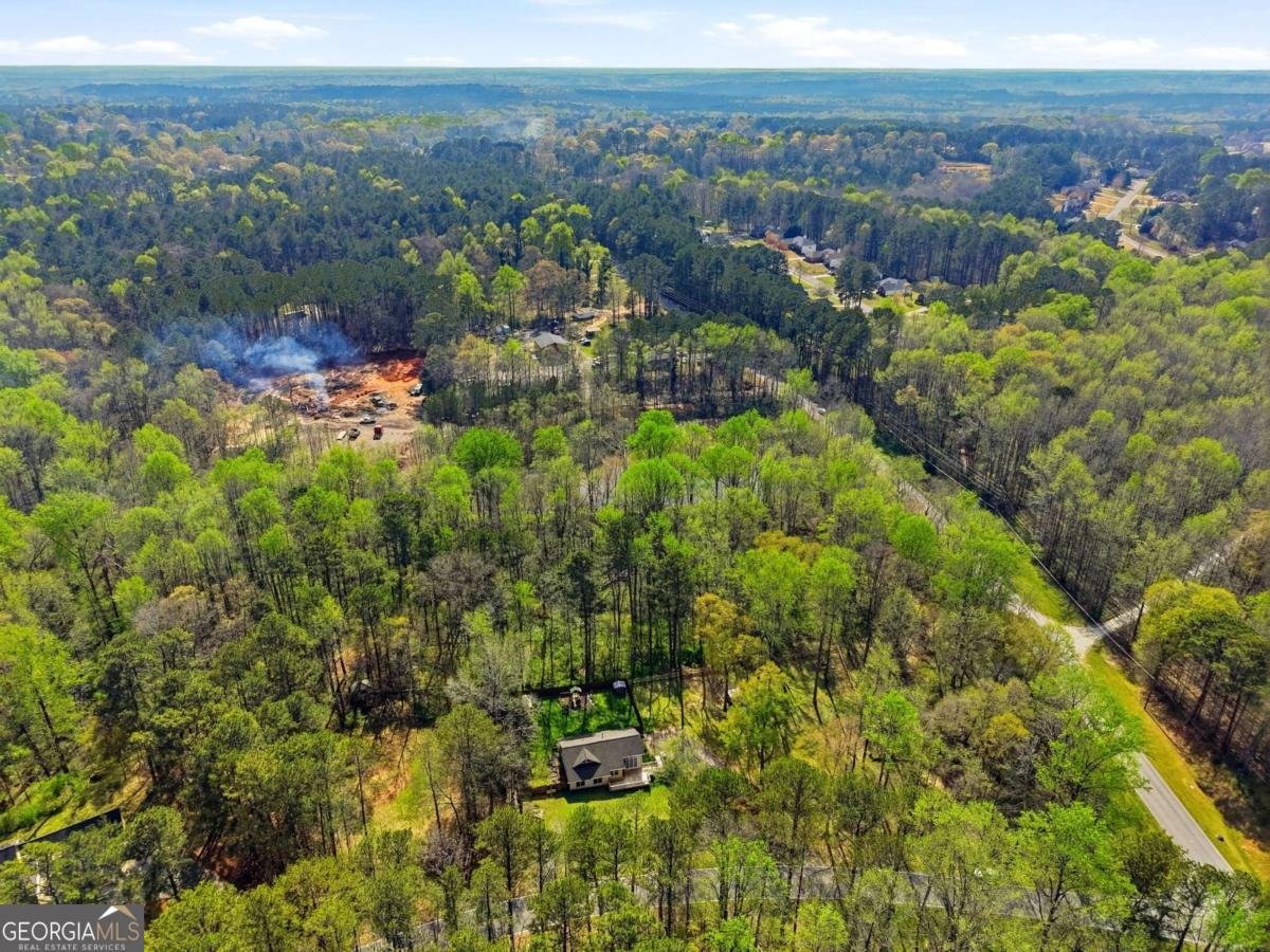 191 Cowan Road Conyers - Photo 29