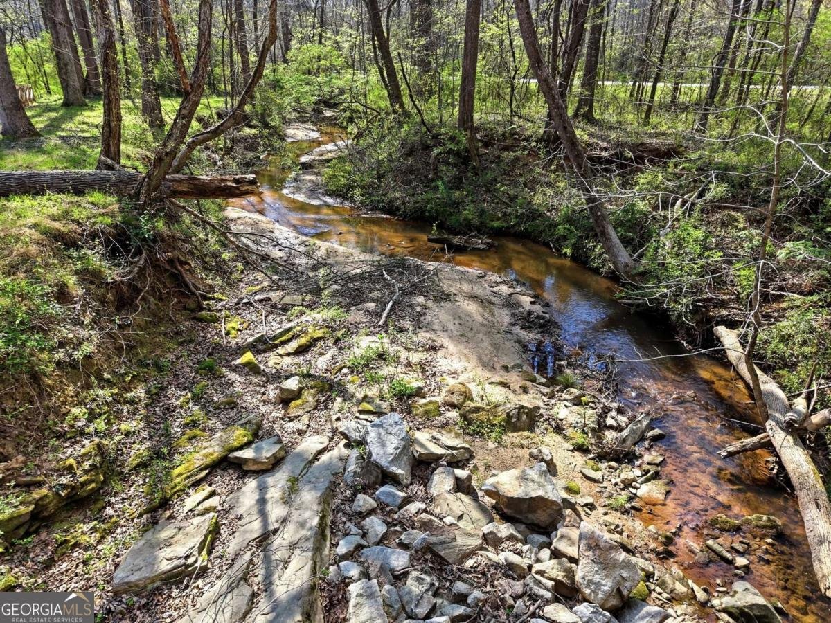 191 Cowan Road Conyers - Photo 30