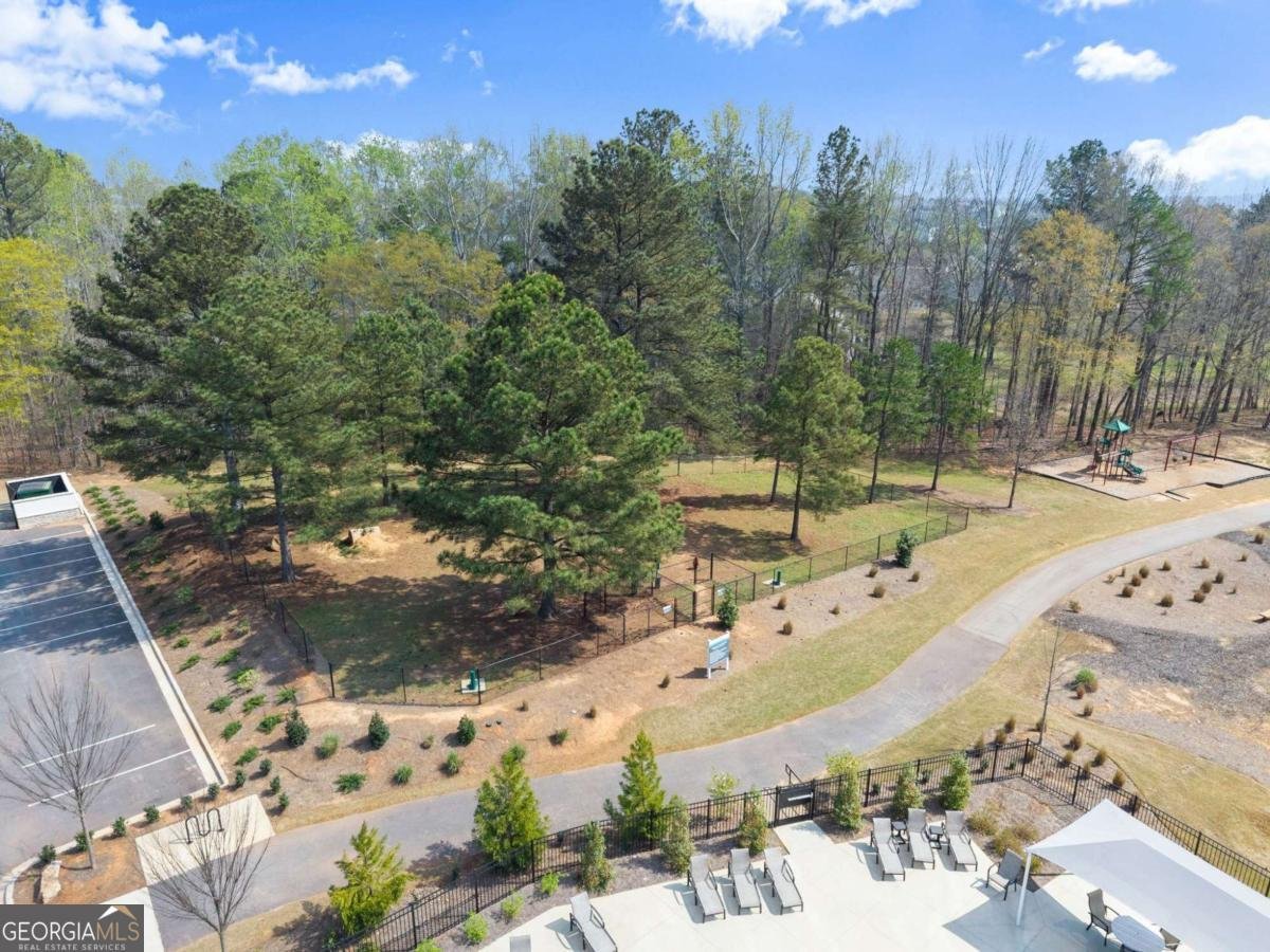 147 Michigan Circle Hoschton - Photo 67