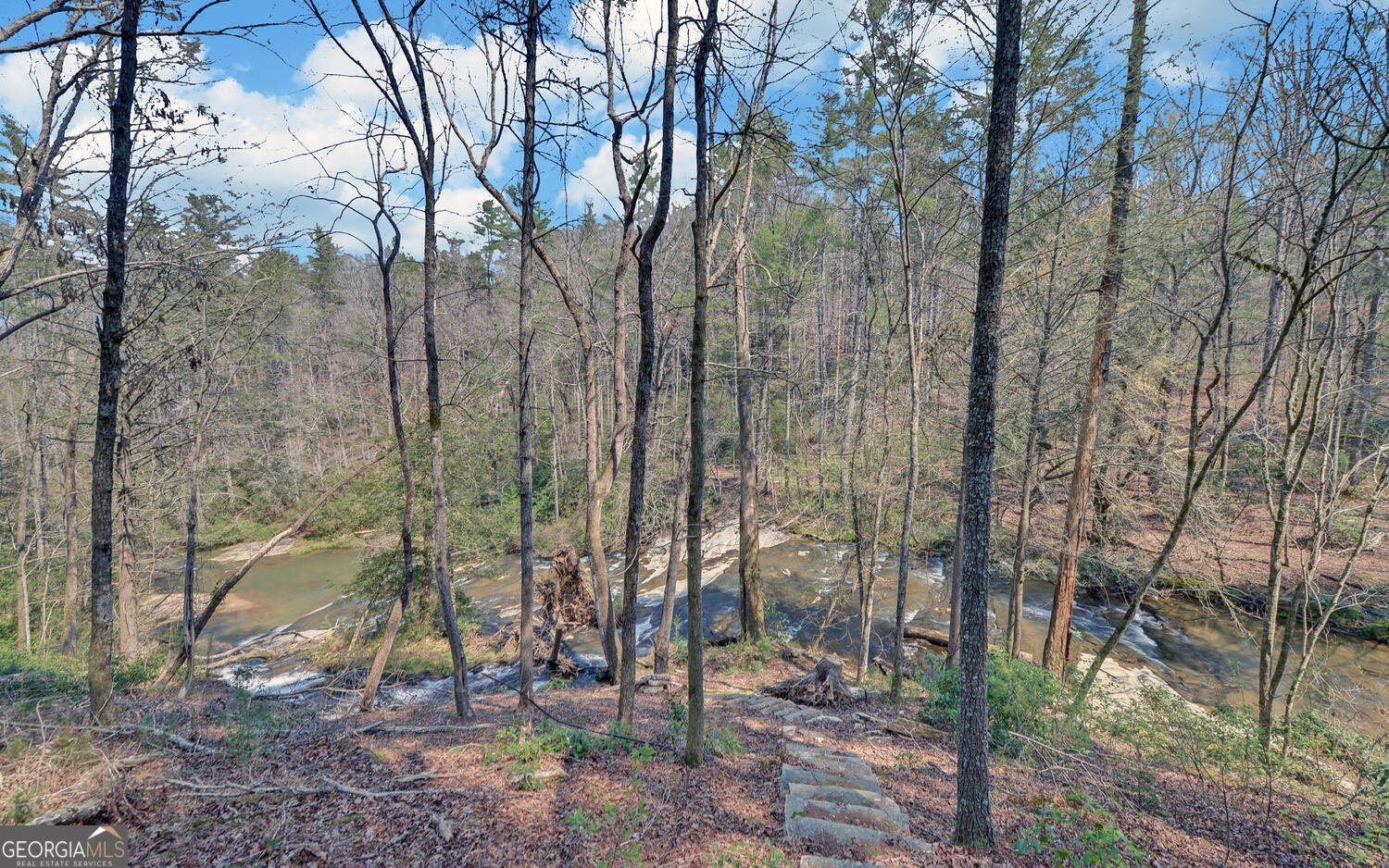 290 Waterfall Drive Cleveland - Photo 33