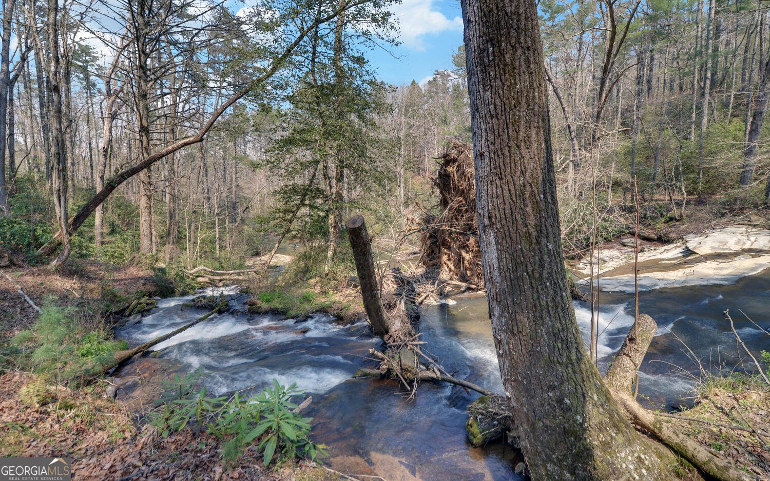 290 Waterfall Drive Cleveland - Photo 34