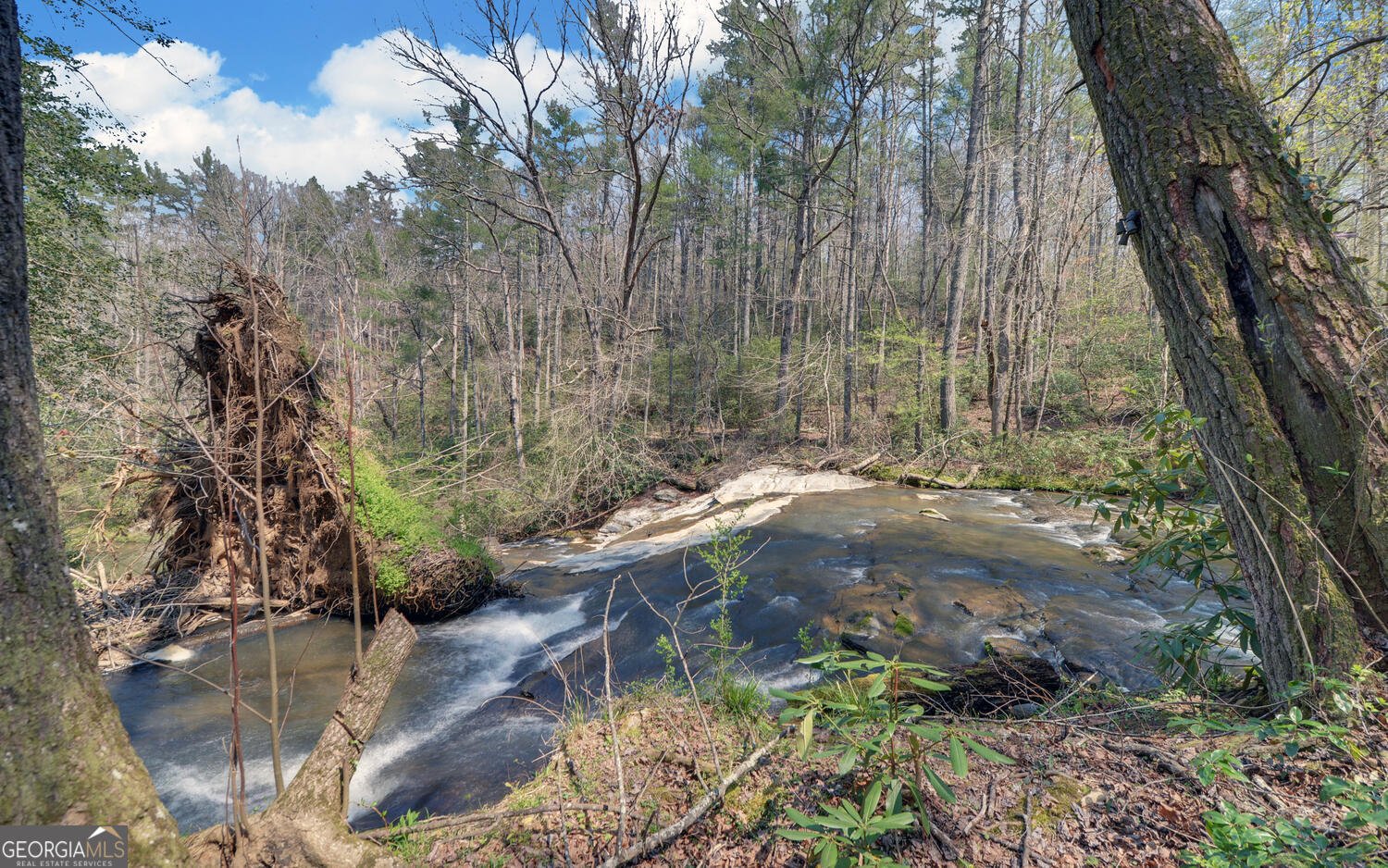 290 Waterfall Drive Cleveland - Photo 36