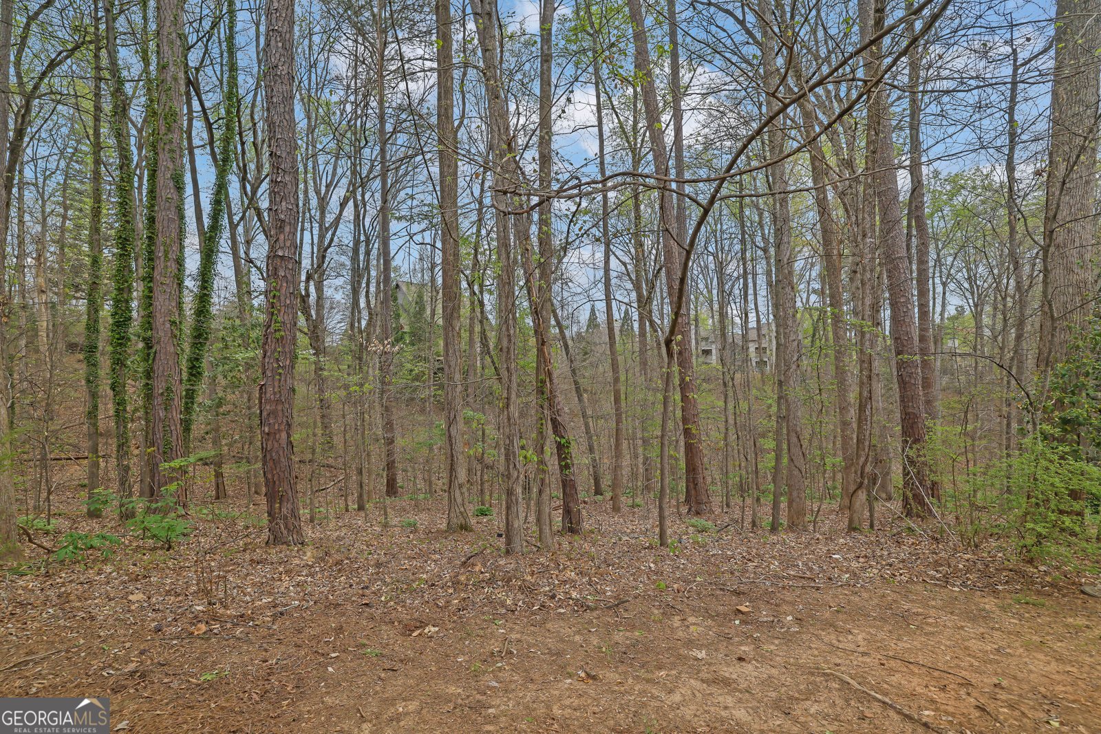 2180 River Heights Court Marietta - Photo 38