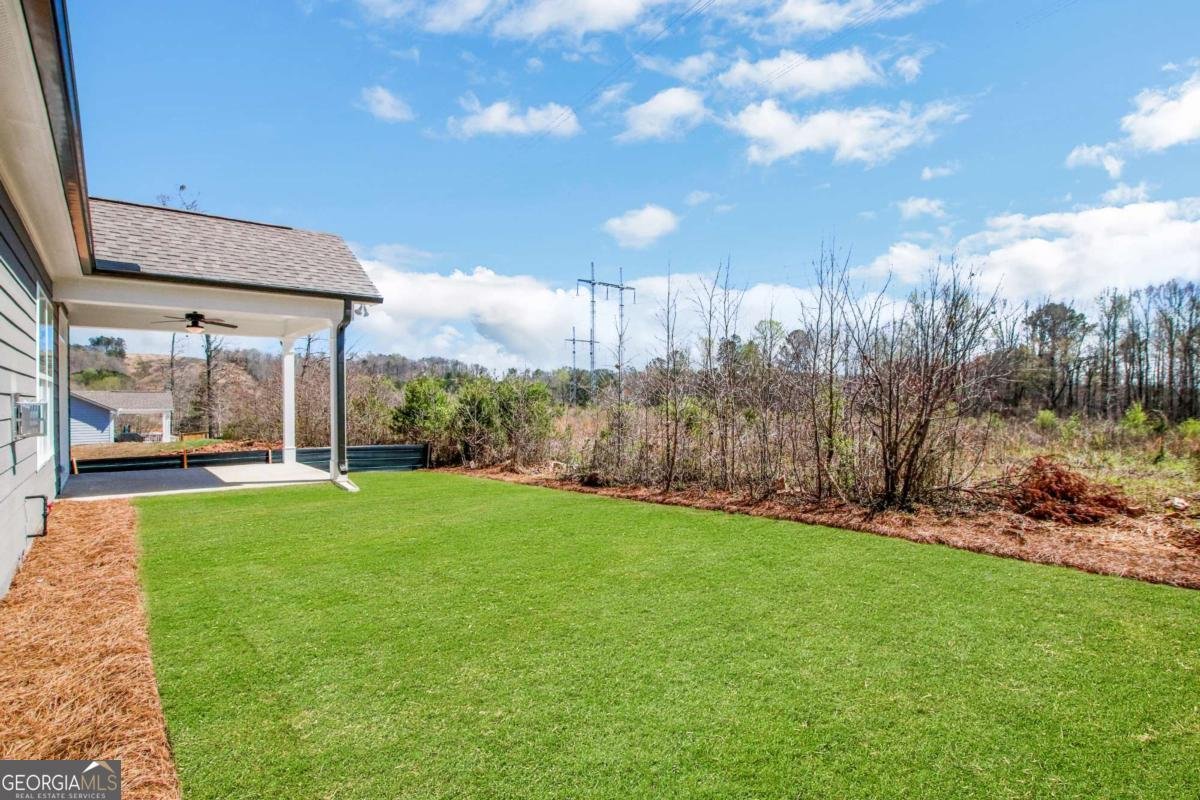 329 Conifer Lane Ball Ground - Photo 41