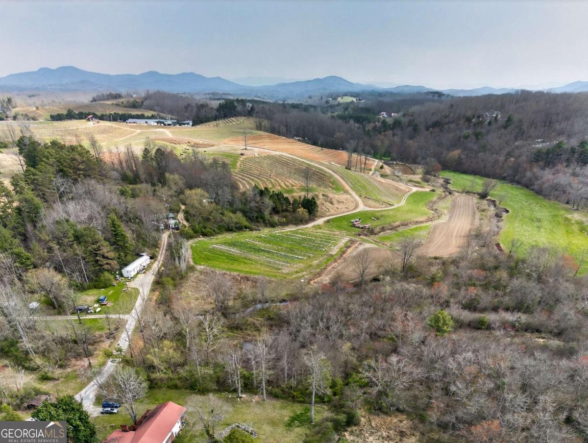 19 Scenic Heights Drive Blue Ridge - Photo 6