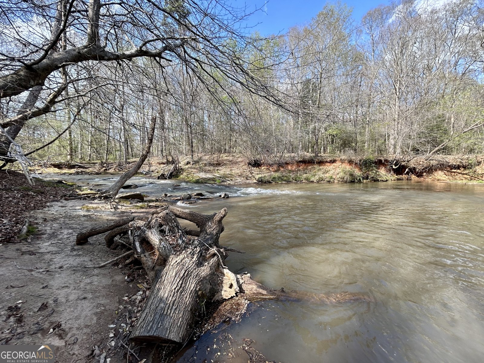 631 Jim Grizzle Road Royston - Photo 10